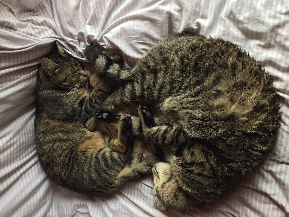 Kaiserhaus Harald Astner Ebbs Studio 1