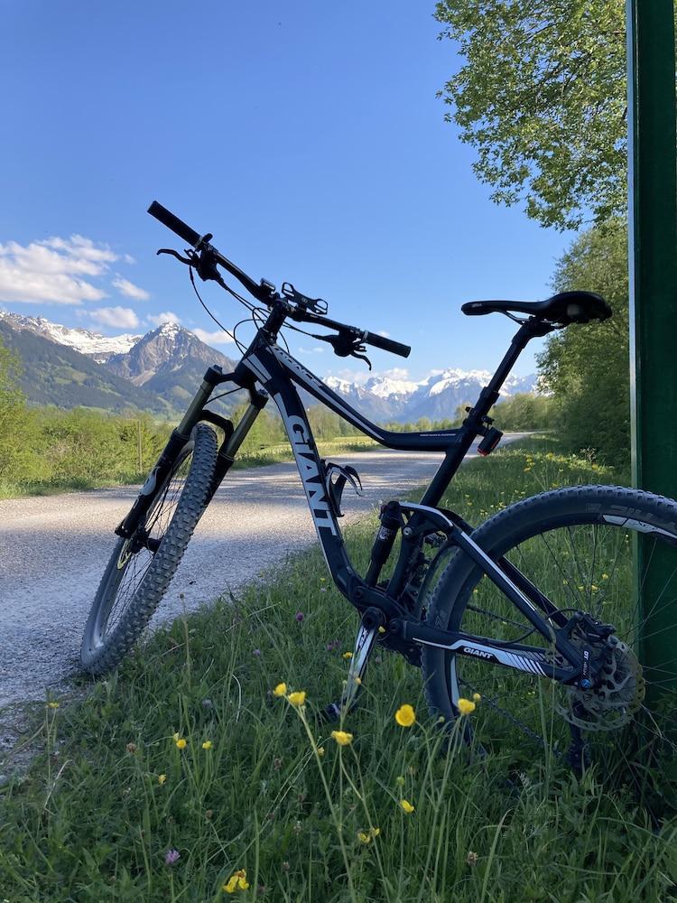 Ferienhotel Luitpold