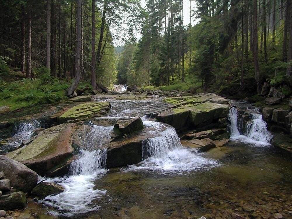 M M Apartment 2 in Harrachov