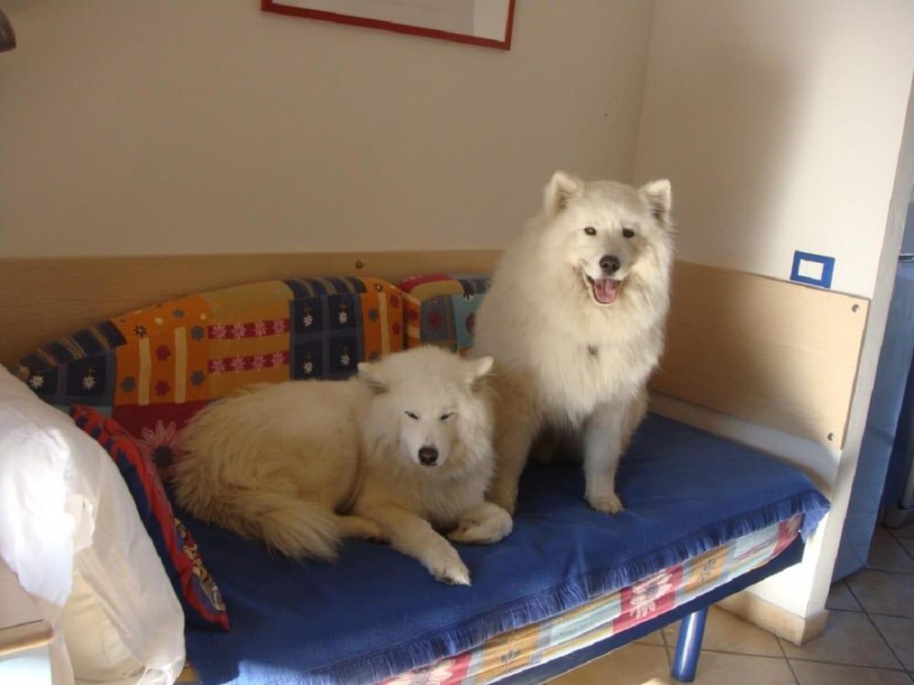 Caliente in Lido di Spina