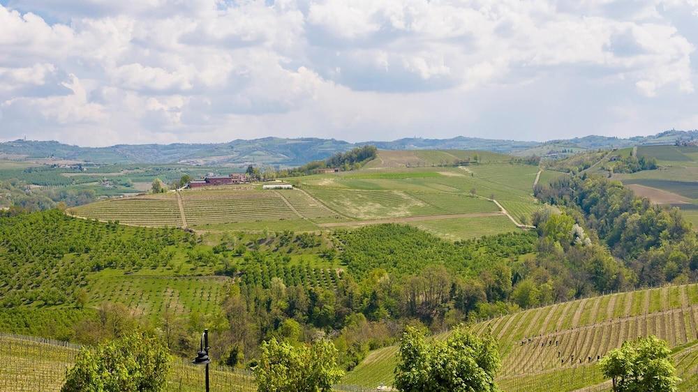 Cn-i646-mazz9a1 - Mazzini 9