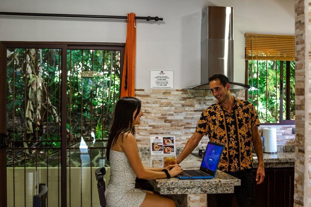 Macadamia - Monteverde