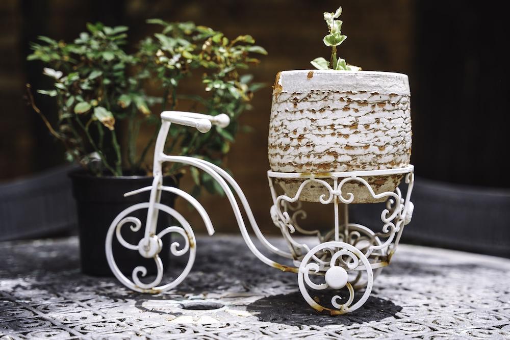 Fully Equipped Self Catering Unit