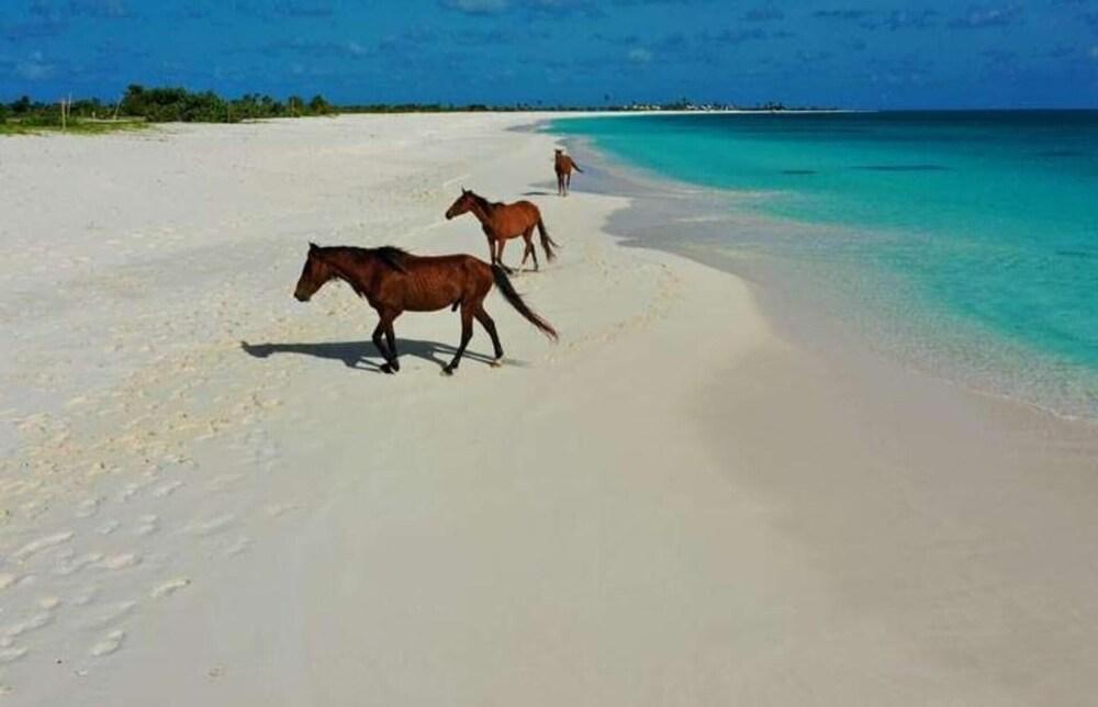 Captivating 1-bed Cottage in Codrington