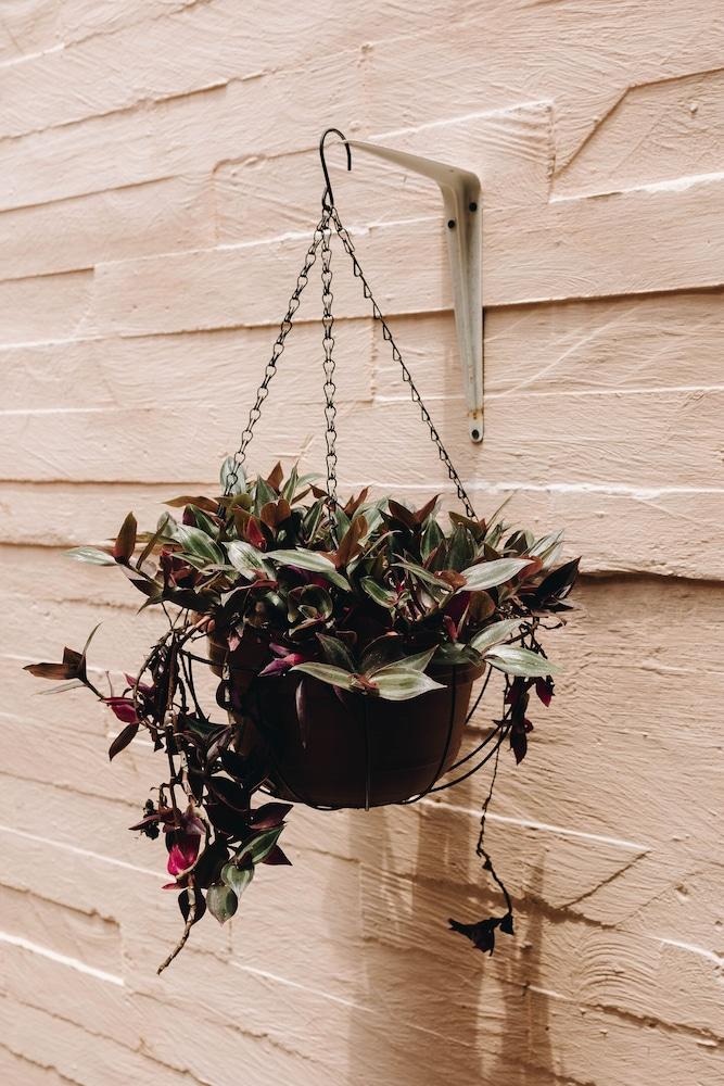 Florencia Hotel Boutique