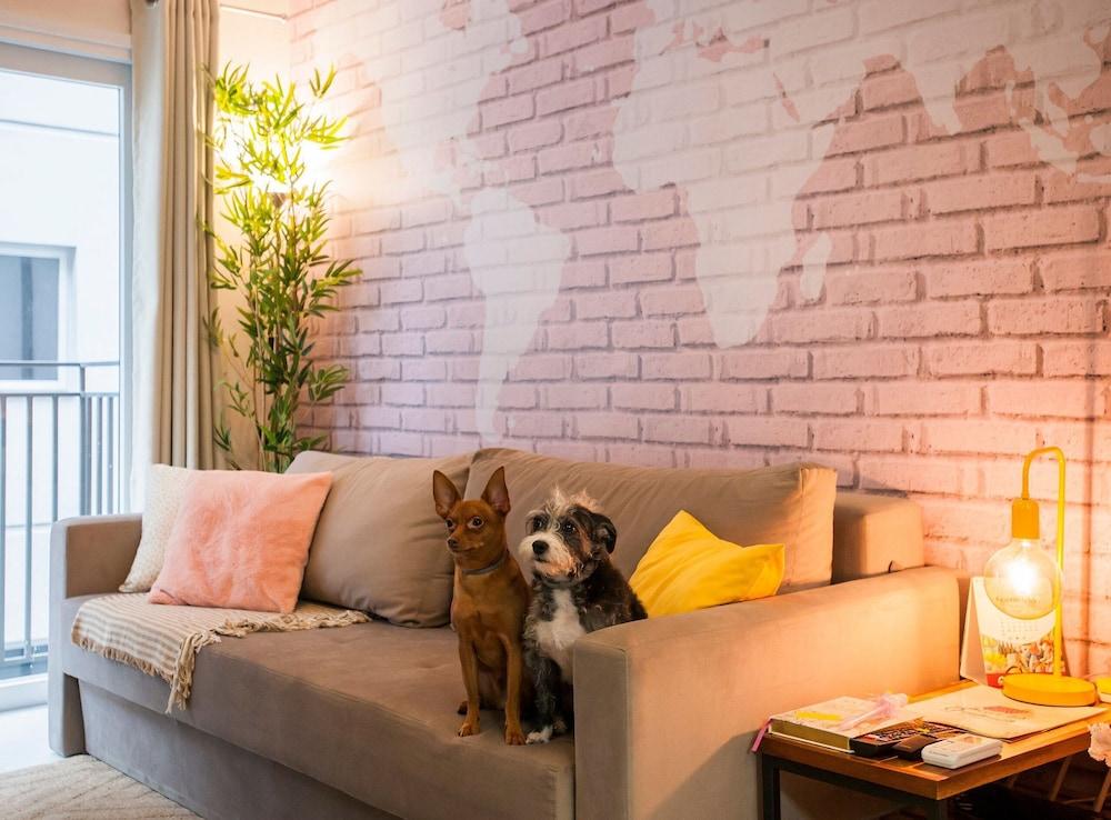 LOCAR-IN GRAMADO- Onze-1