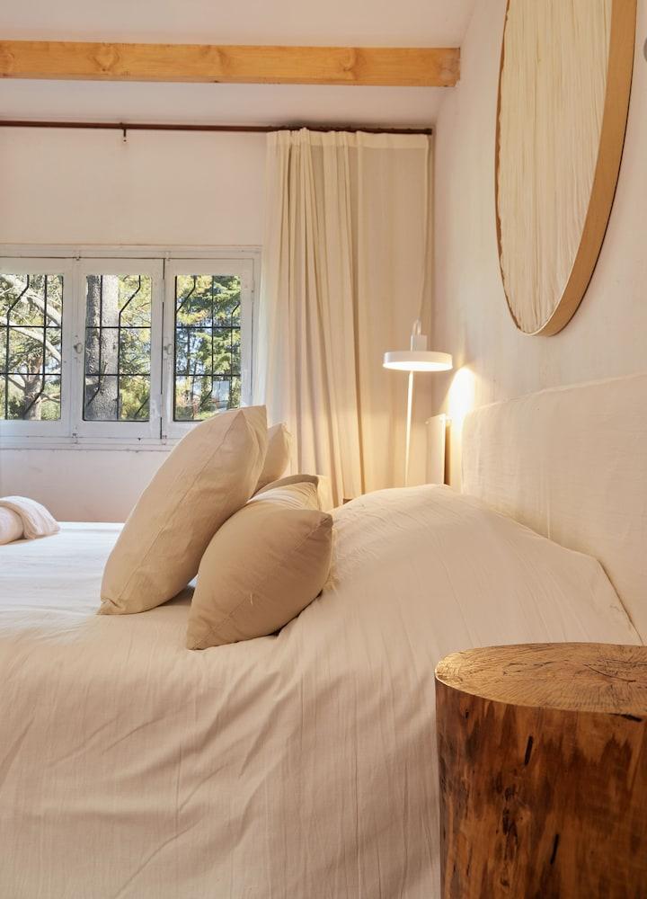 Hestia at San Antonio de Areco