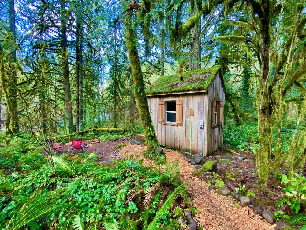 Trout Creek Wilderness Lodge