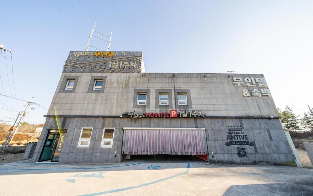 Pohang Cheongha Antibue