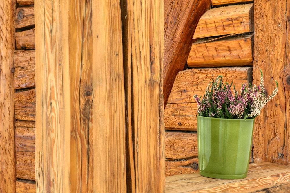 Bunter Bock  Die Harz-Urlaubs-Alm