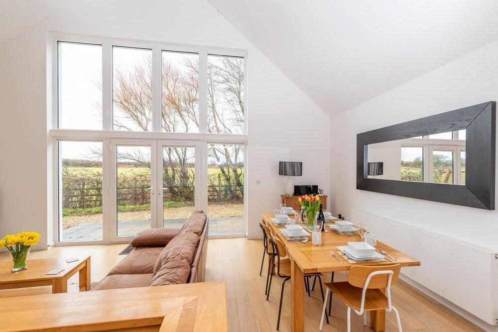 Seashells in Woolacombe