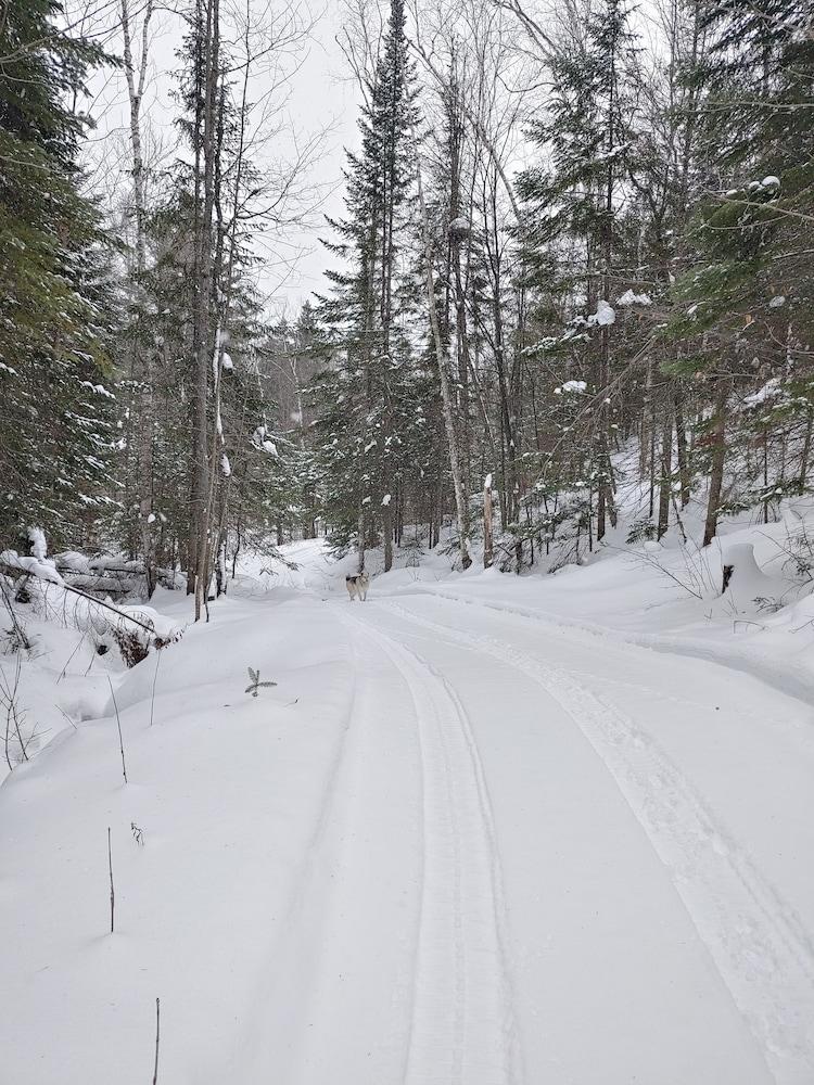 Estonia Hébergement Nature