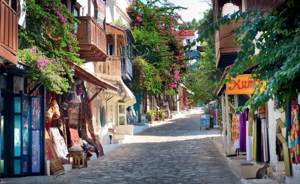 Lighthouse Loft Gunbatimi