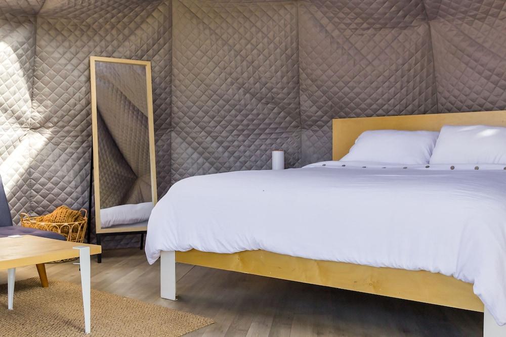 Tammah - Yellowstone