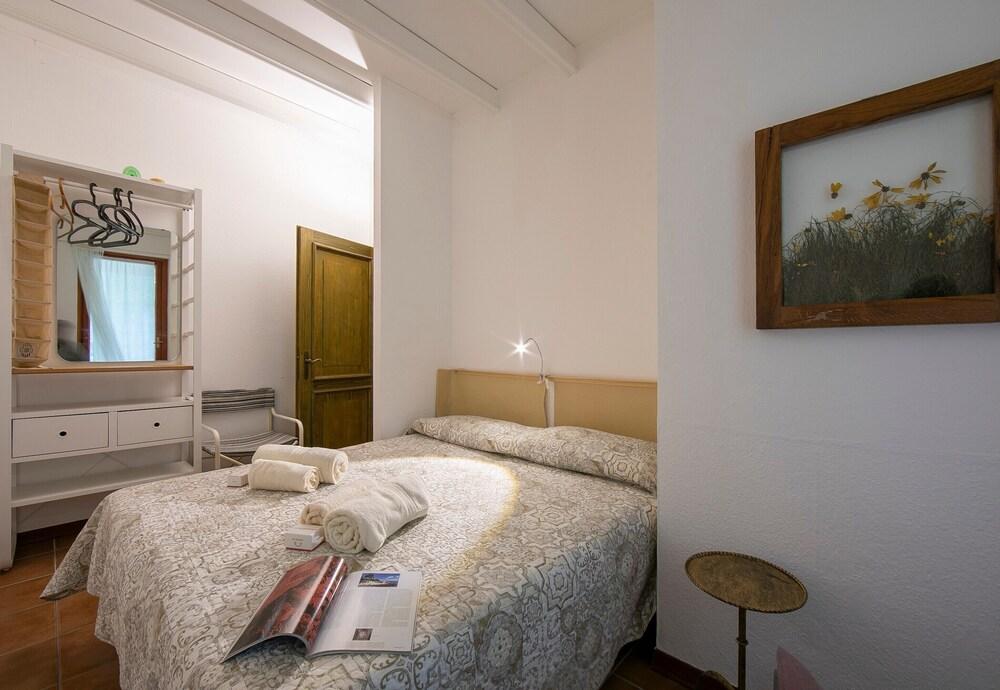 Hermitage Le Primule