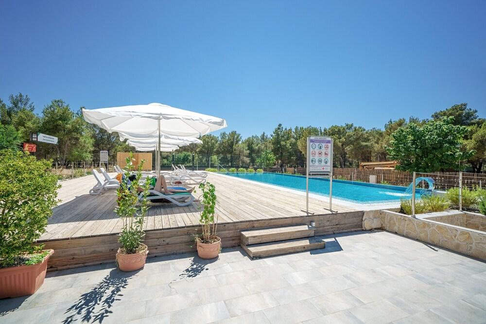 Cozy Park View Room With Breakfast Included