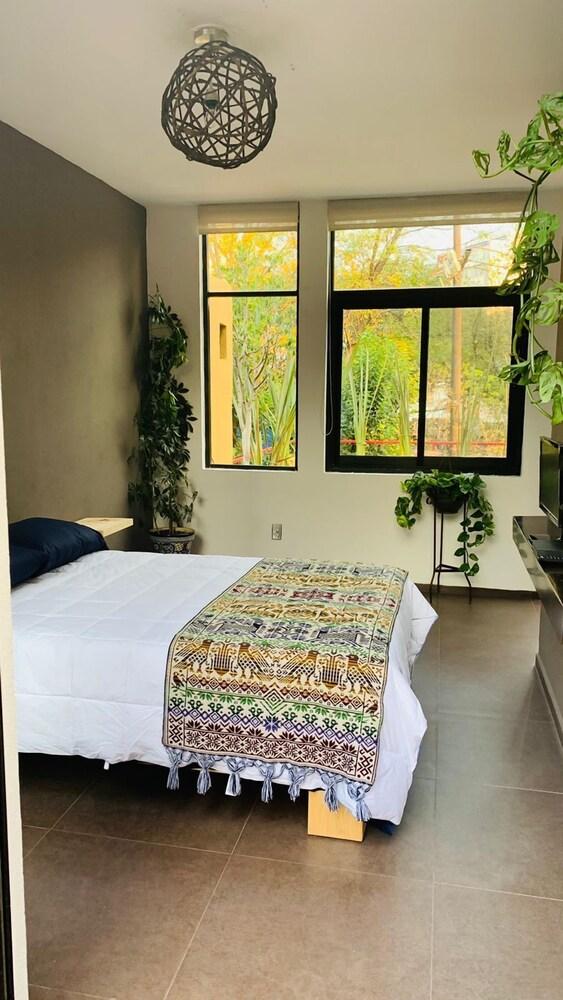 The Reef House Condesa