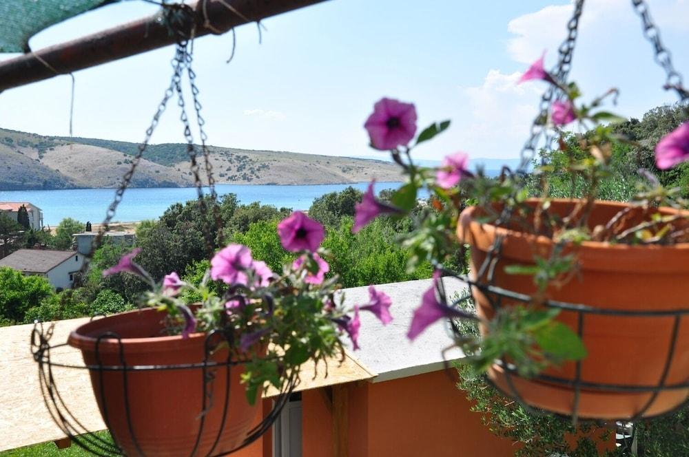 Bela - sea View - A1