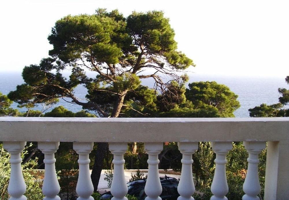 Var - With Nice Garden - A3