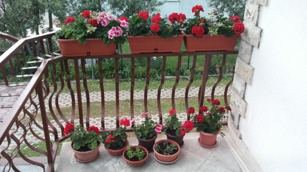 Božana - With Parking - A3