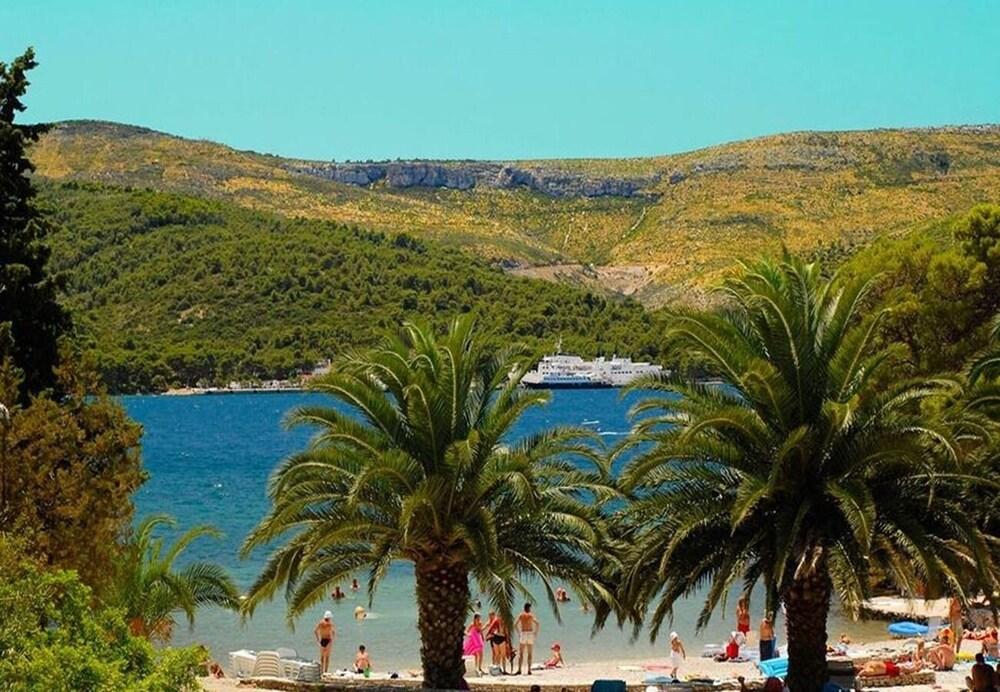 Igor - Near Center - Sa2-agron