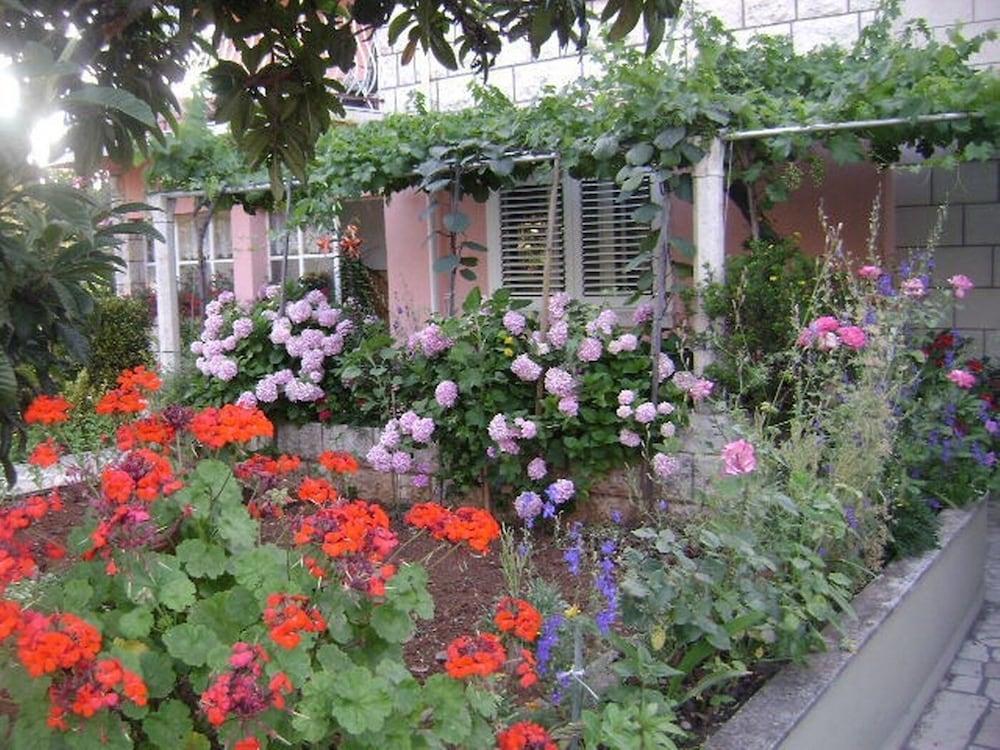 Liza - 80 M From the sea - SA1