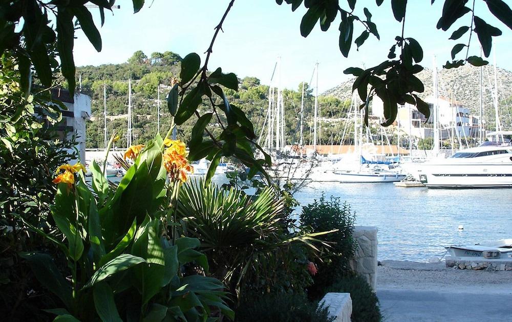 Ivanka - 10 m From sea - A3