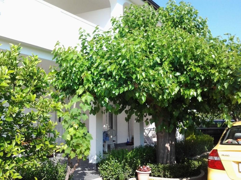 Ivan - With Garden - A1 Plavi