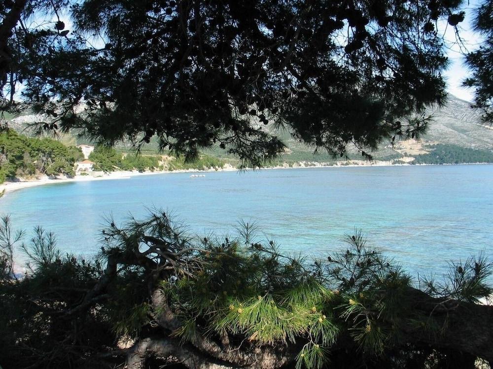 Lucky - 150m From the sea - A1