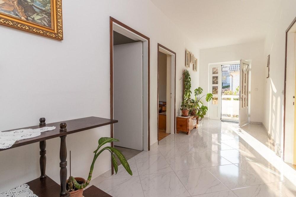 Rezikica - Green Oasis - A2