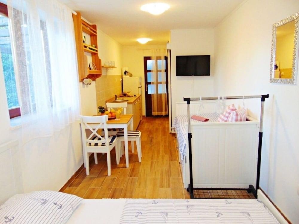 Dino - 20m From the sea - SA2