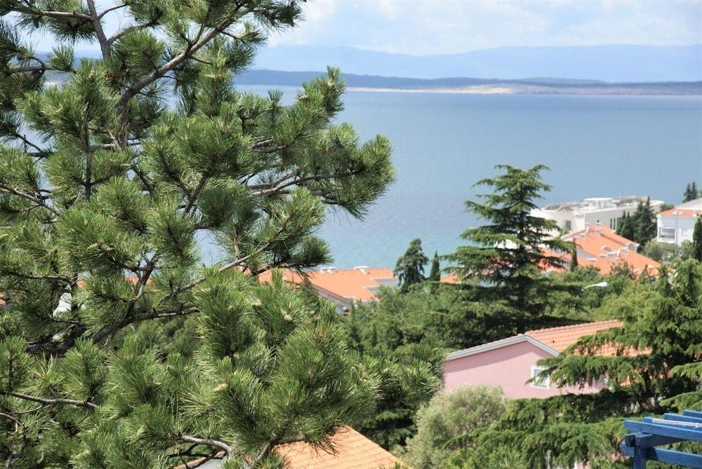 Tomislav - A2 Crveni