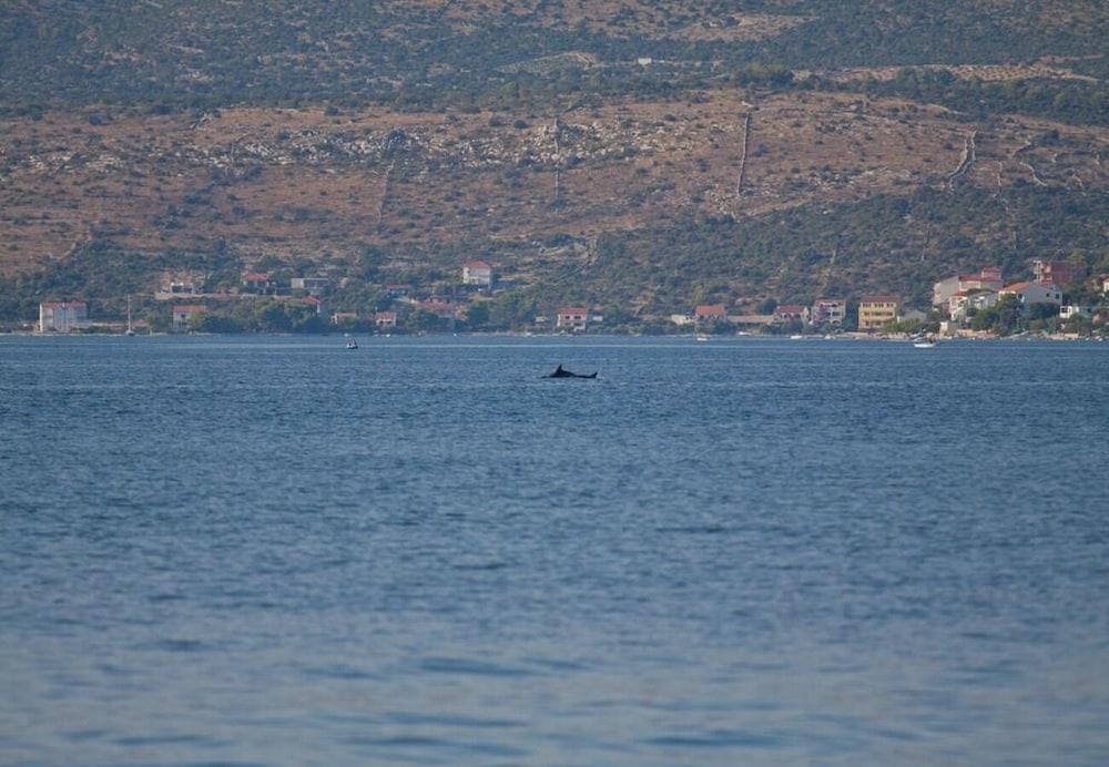 Vik - 60 m From the sea - A1