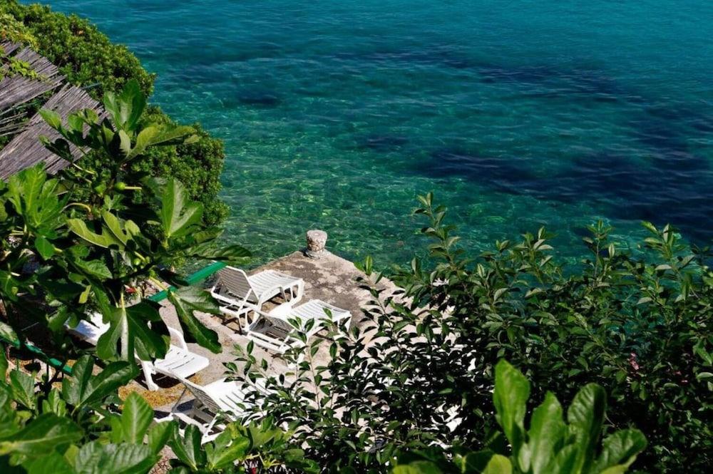 Bobi - 10 M From the sea - SA2