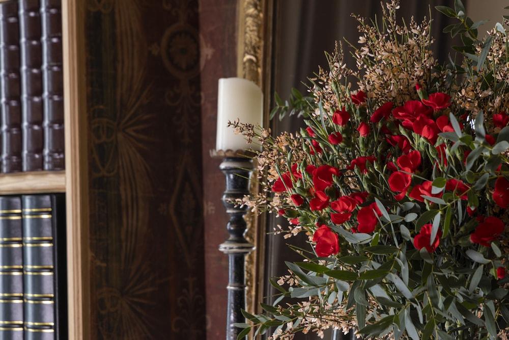 Maison Cardinal Furstemberg