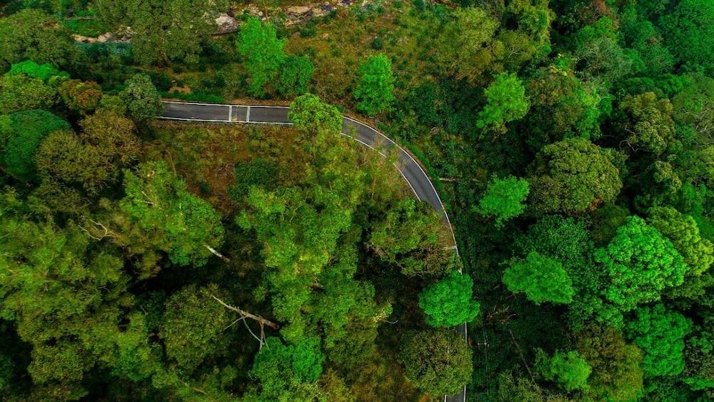 Mistly Plantation Bungalow