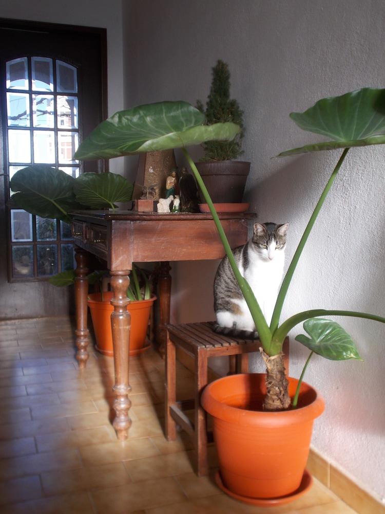 Room in Guest Room - Private Room on a Terrace With Garden