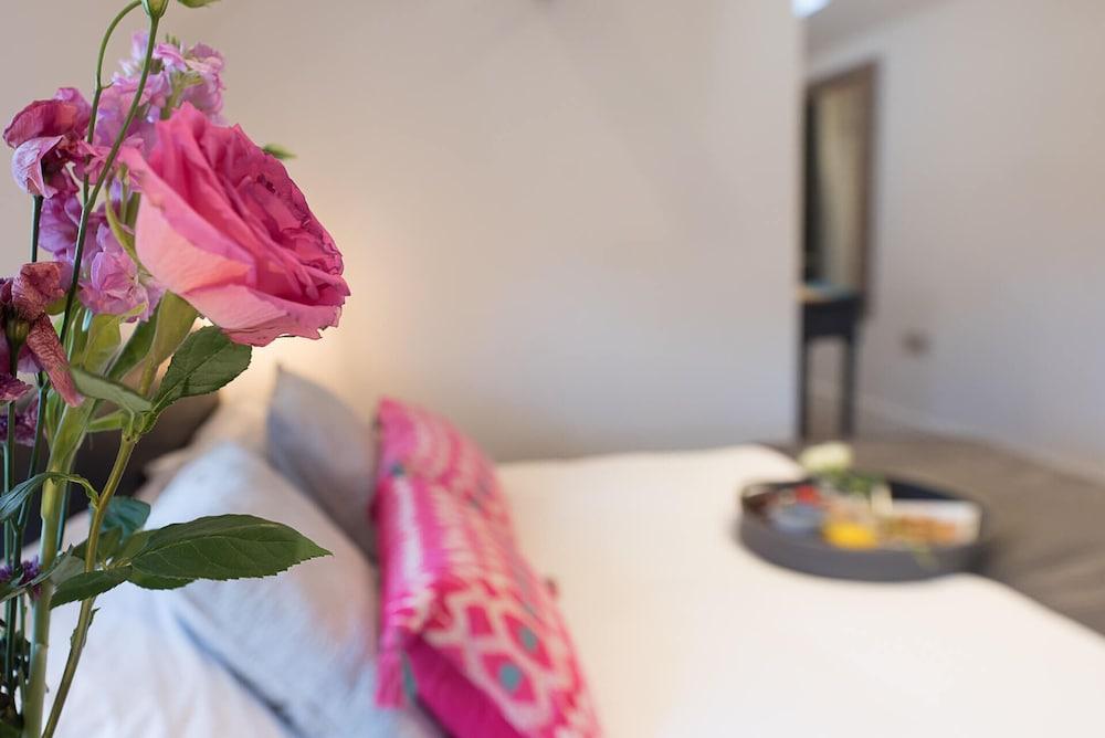 Papillon in Southwold