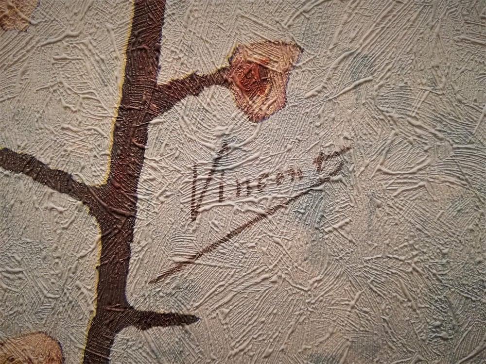 Napolicentrico in Napoli