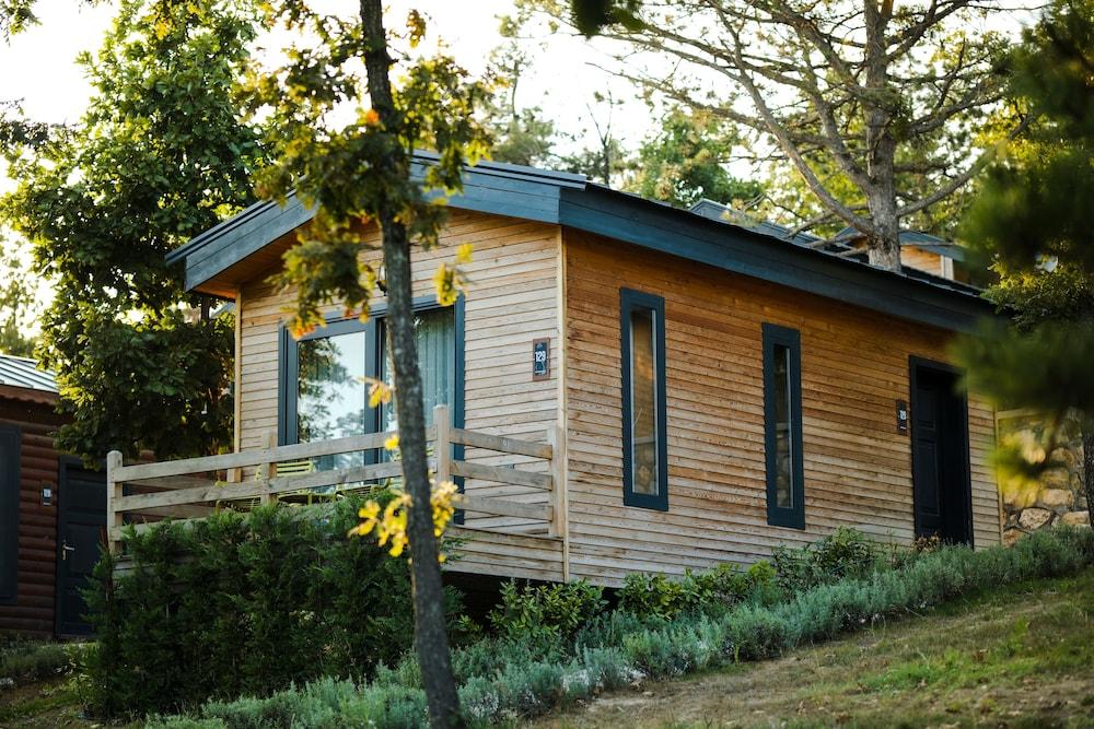 Nefes Dağyenice Doğada