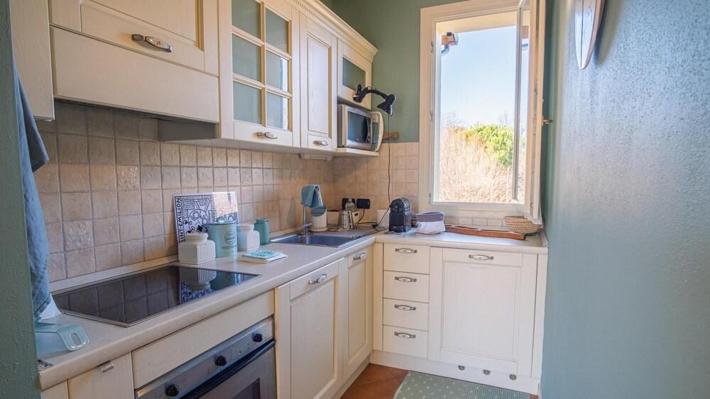 Donna Eloisa - Italian Homing