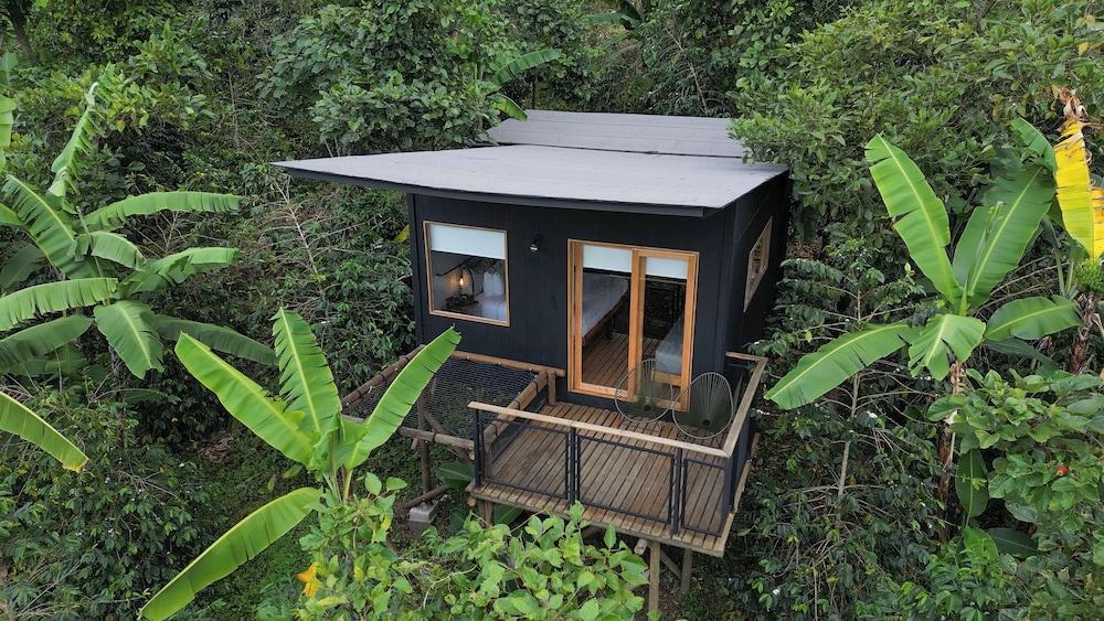 Hotel La Palma y El Tucan - Coffee & Nature