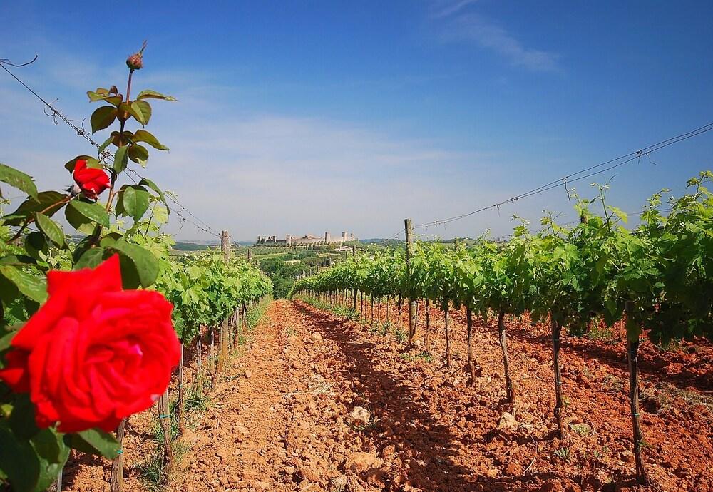 Castle Federico With Private Pool