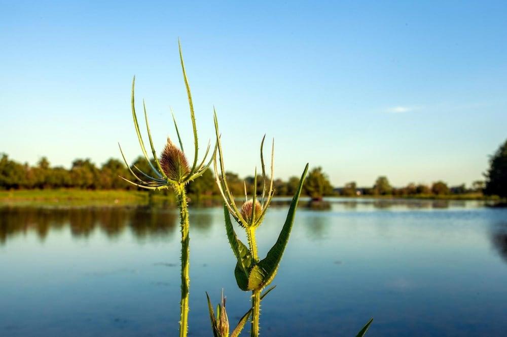 Charming Villa Near Maastricht and Hillside