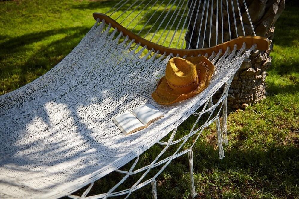 B B D Aprile Camera Glicine