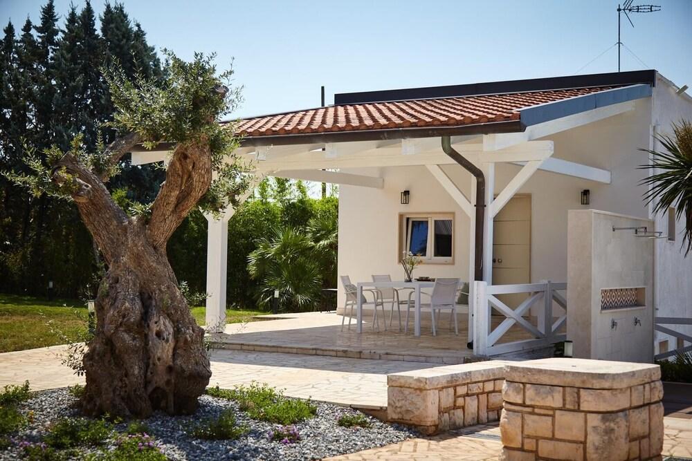 B B D Aprile Camera Tulipano