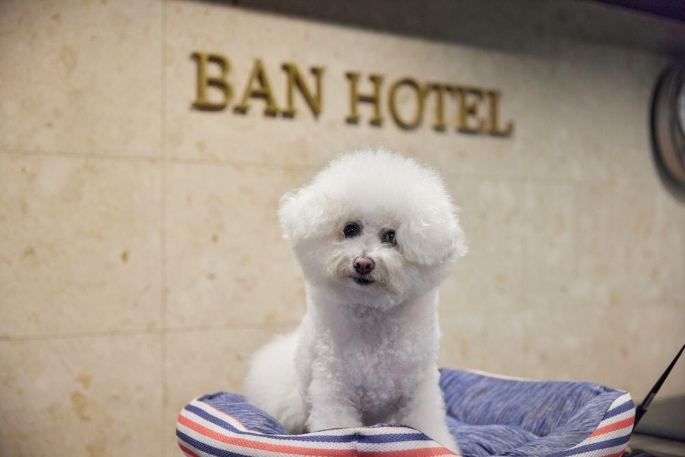 BAN HOTEL TSUKIJI GINZA