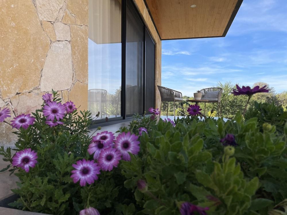 Ave Suites Campestres Jalpan