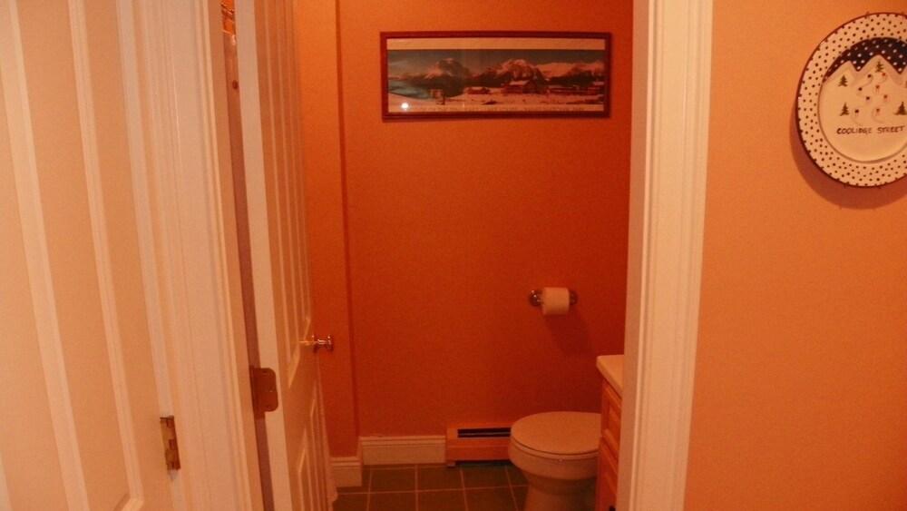 Coolidge Falls 18b, Lincoln