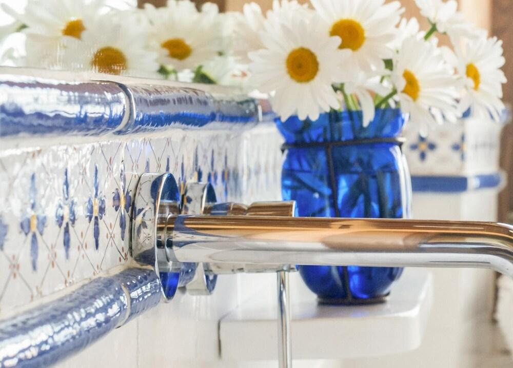 La Bigonia del Capo Verso